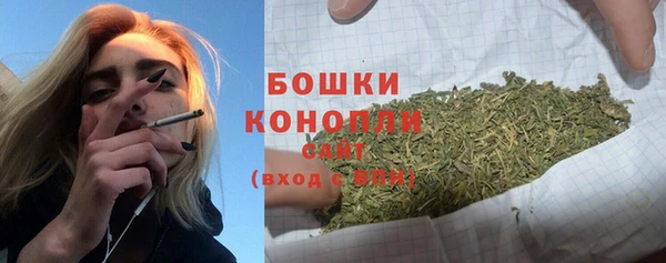 прущий лед Инта
