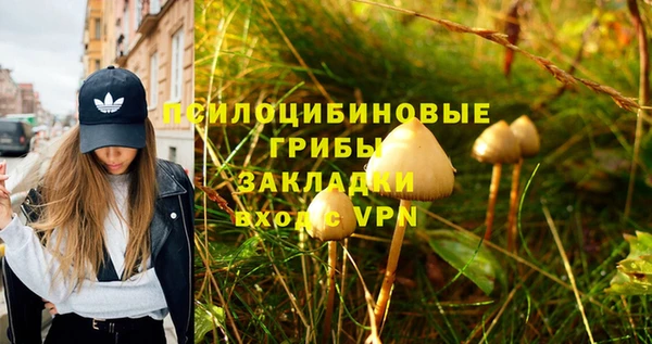 гашик Инсар