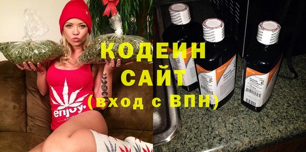 гашик Инсар