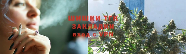 гашик Инсар