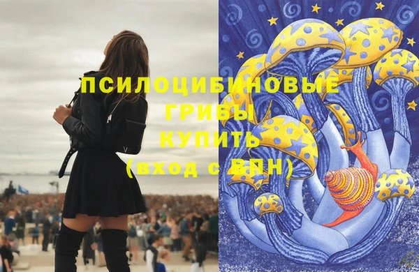 гашик Инсар
