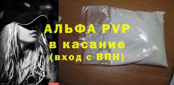 гашик Инсар