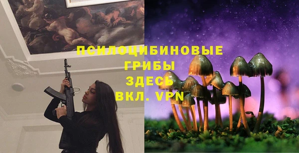 прущий лед Инта