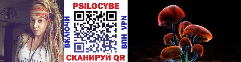 Купить где  Алексин  Псилоцибиновые грибы GOLDEN TEACHER 